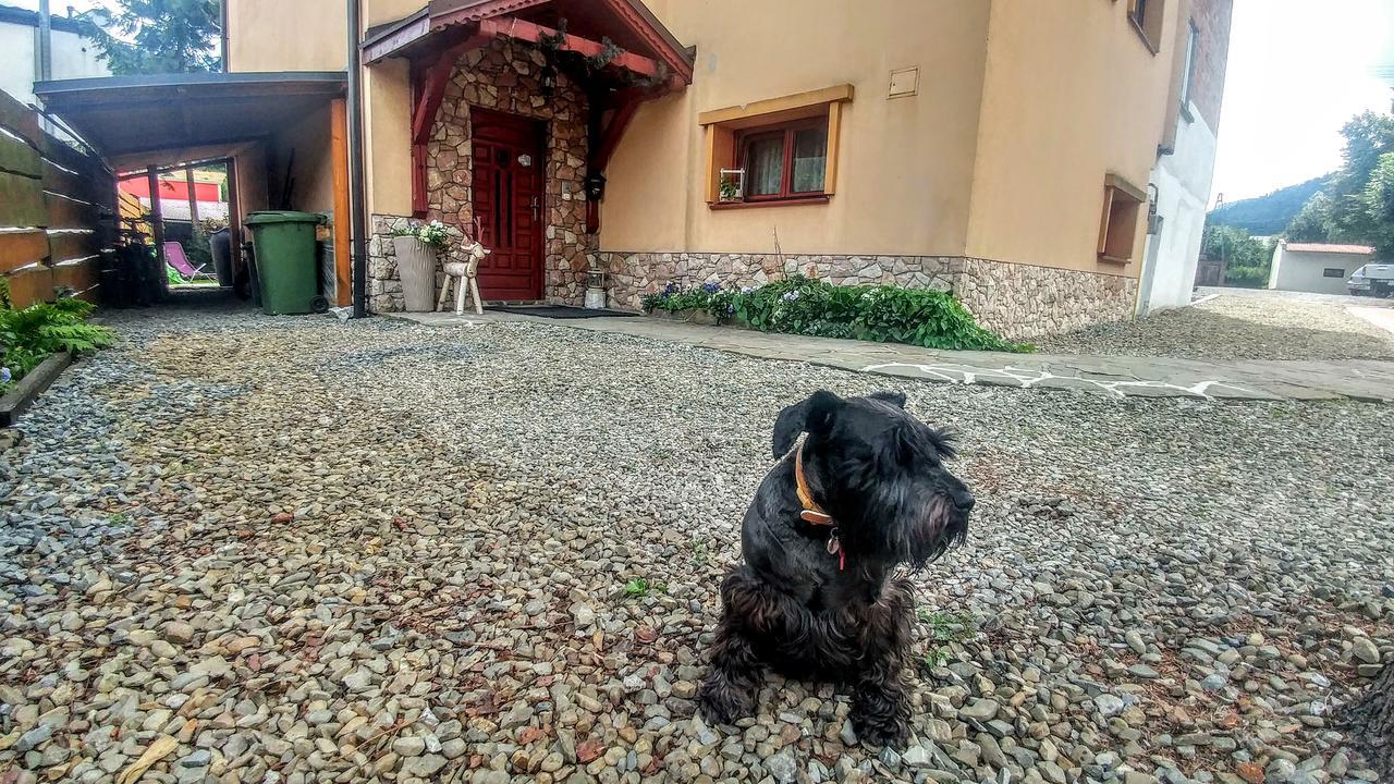 Pod Klimczokiem I Bed & Breakfast Szczyrk Ngoại thất bức ảnh